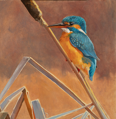 Original oil painting of a kingfisher perched on greater reedmace by wildlife artist Lisa Miller