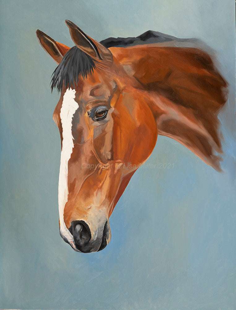 Kauto Star Original Oil